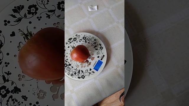 Заржавевшее сердце Эверетта смотреть онлайн