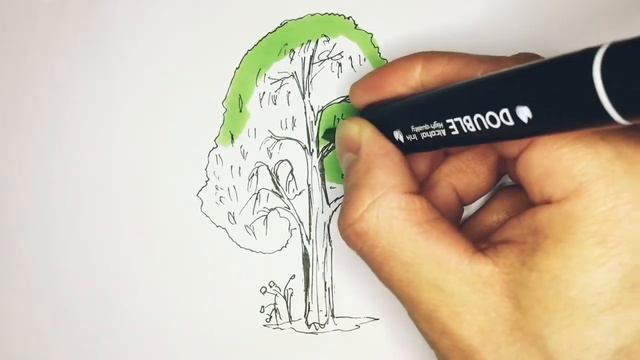 Как нарисовать дерево клён - How to draw a maple tree смотреть онлайн