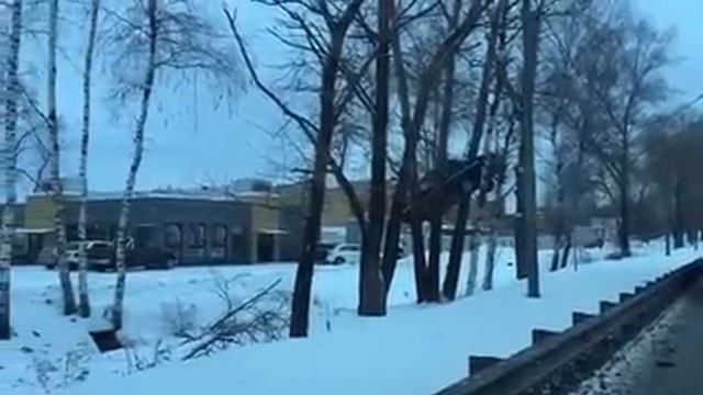 "СИНЯЯ МОЛНИЯ" или летающие Жигули из Хогвартса! 2 смотреть онлайн