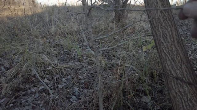 Озеро в огороде! Для уточки... Пилю деревья, навожу порядок возле участка. смотреть онлайн