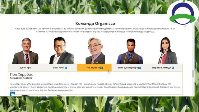 ORGANICCO Команда смотреть онлайн