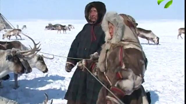 90% россиян не сталкивались с дискриминацией по национальному признаку смотреть онлайн