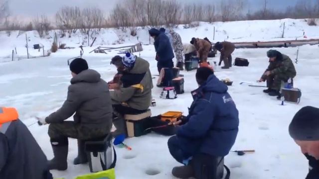 Стрелецкий Ручей 06/02/2019- 1 смотреть онлайн