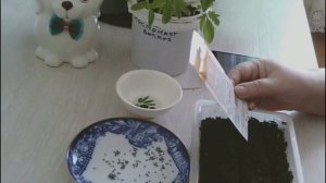 58. Посев лука батуна на рассаду