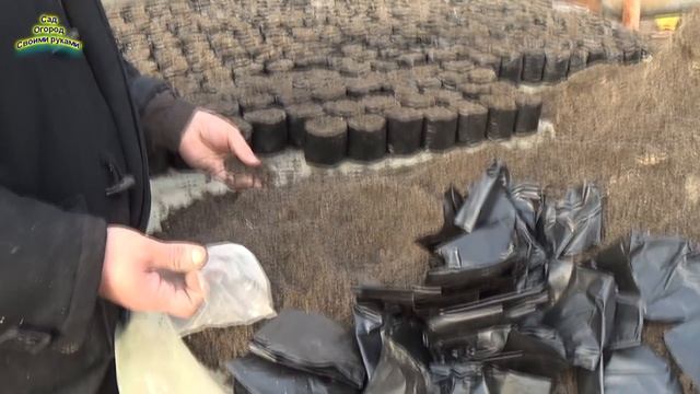 ХОТИТЕ ВЫРАСТИТЬ КРАСИВЕННЫЕ ЦВЕТЫ? ДЕЛЮСЬ СВОИМ ОПЫТОМ! смотреть онлайн