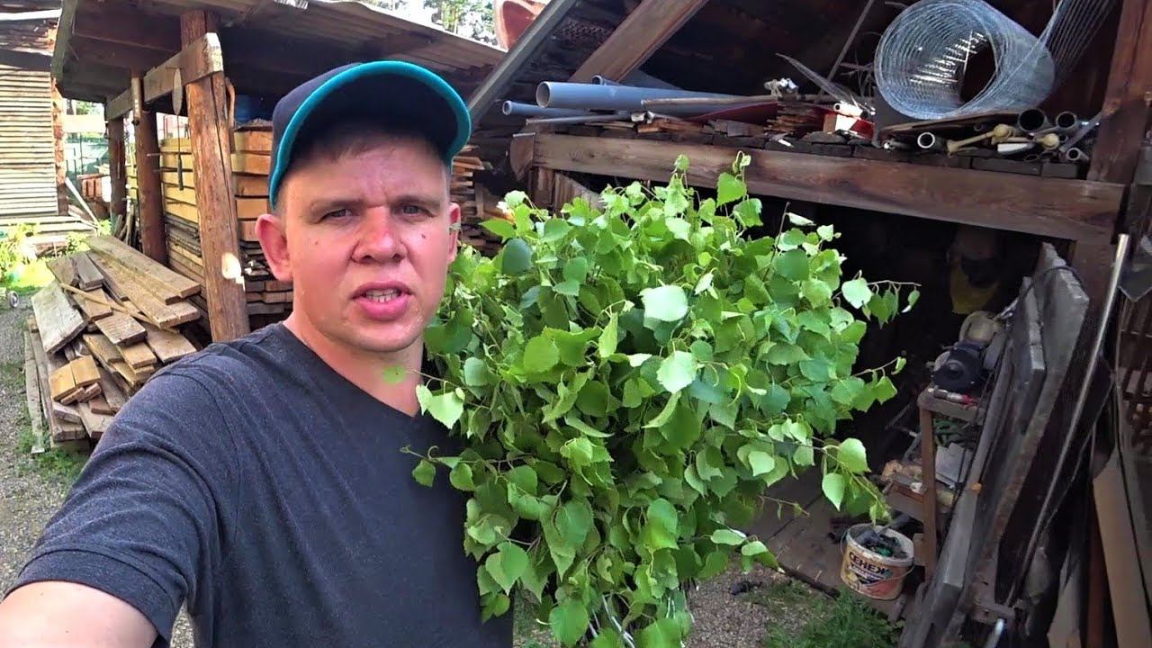 Про летние хлопоты, супер средство для капусты, стройку и заготовку веников. смотреть онлайн