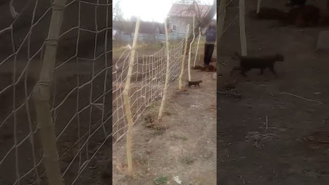 Стройка Видеоглазом