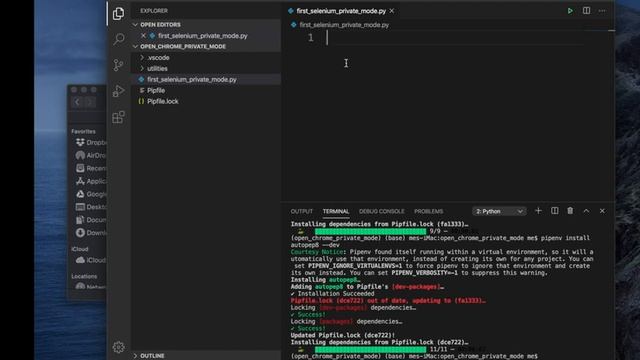 How to open Google Chrome browser window in incognito/private mode using python selenium WebDriver? смотреть онлайн