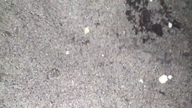 Почва, грунт для рассады! Готовимся к посадке! смотреть онлайн