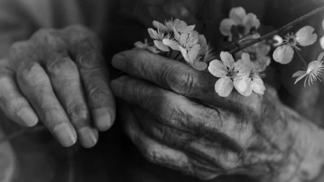 Мои года моё богатство -Вахтанг Кикабидзе смотреть онлайн