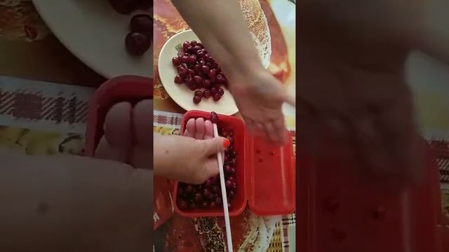 Удалить косточки из вишни. смотреть онлайн