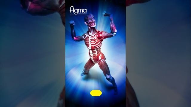 Figma - Human Anatomical models смотреть онлайн