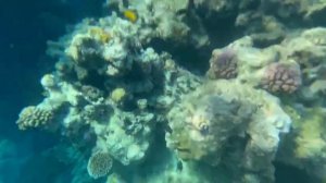 Египет. Safir Sharm Waterfalls Resort (Ex. Hilton Sharm Waterfalls Resort). Декабрь 2022 года.