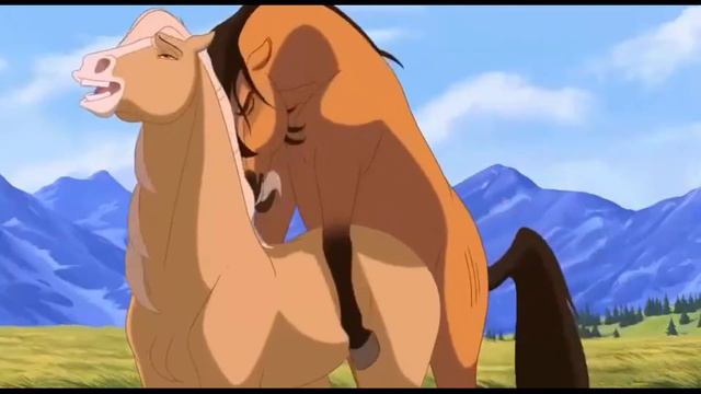 Horse animation mating смотреть онлайн
