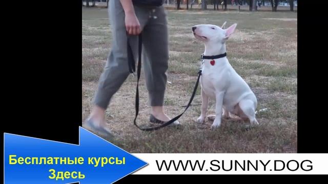 Идеи для праздничного макияжа