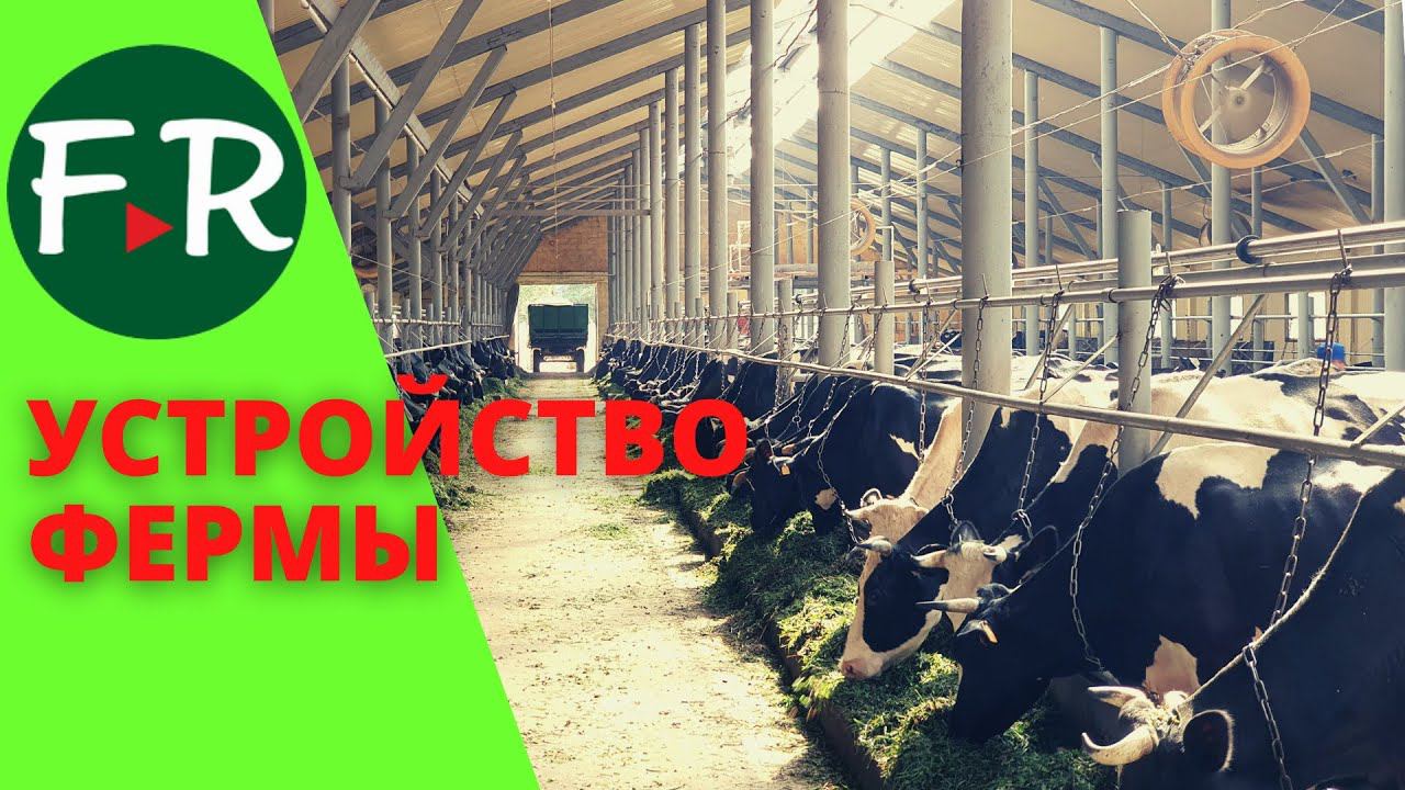 Устройство и оборудование молочной фермы Помещение для содержания КРС. ЭкоФерма ДемьяНово смотреть онлайн