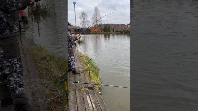 Рыбалка у Иваныча процесс ловли на Випе смотреть онлайн