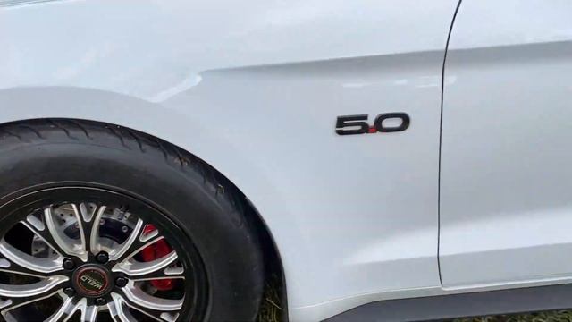 2019 Mustang Vortech Supercharger vs S197 Shelby GT500 & Turbo Trans Am 1/4 Mile смотреть онлайн