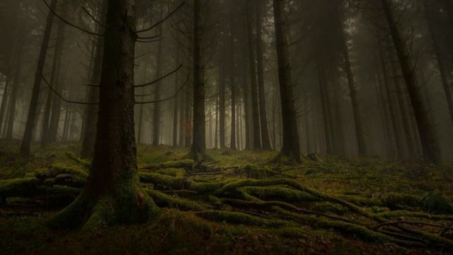 RELAX MUSIC / Сборник красивой музыки и природы от Управления Реальностью. Расслабление и релаксаци смотреть онлайн