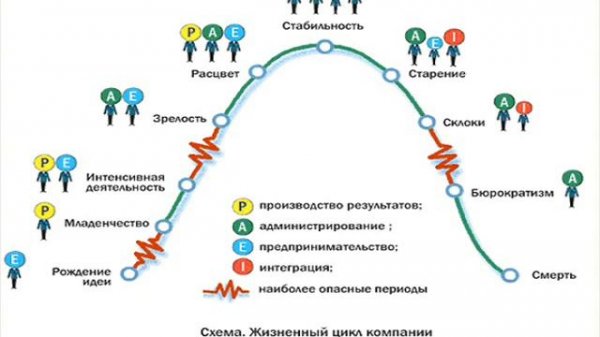 Жизненные циклы организации и оргструктура бизнеса