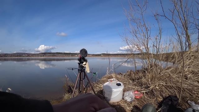ПОПЛАВОК ТОПИТ, ВЫКЛАДЫВАЕТ как карась. Рыбалка на поплавок весной.