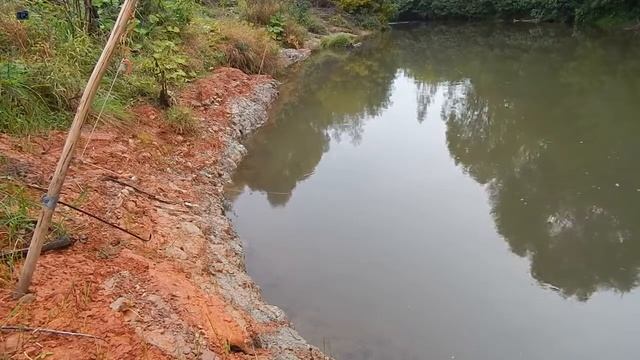 Ловля головля на куриную печенку смотреть онлайн