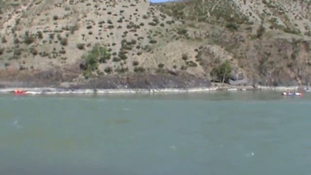 Катунь.Спасение собаки.Altai.Dog rescue.р.Чуя смотреть онлайн