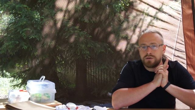 Водоросли и лишайники смотреть онлайн