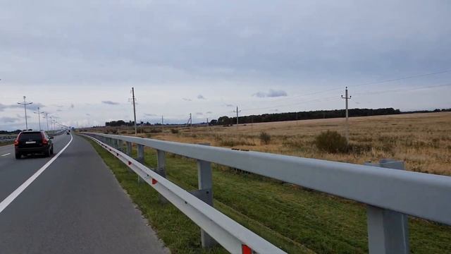 Отара овец в Калининградской области смотреть онлайн