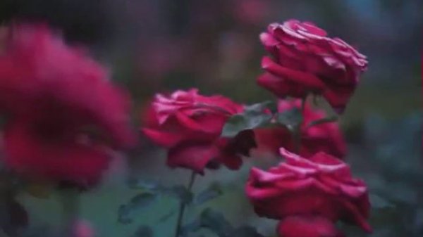 Мне трудно без тебя дышать.