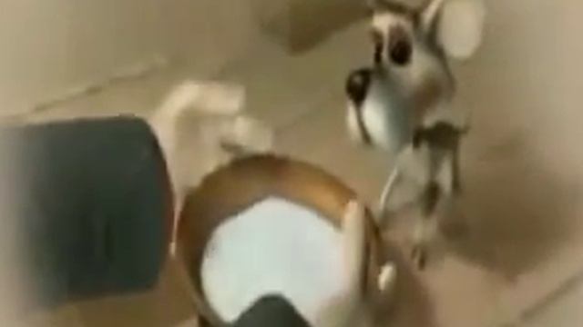 зачем Герасим утопил своё МуМу смотреть онлайн