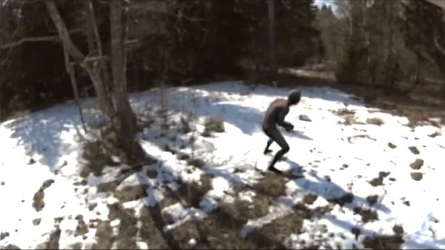 Неизвестное существо в лесу приблизилось ко мне! смотреть онлайн