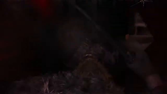 Metro 2033 #5 [Черный!?] смотреть онлайн
