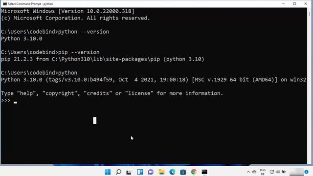 How to Install Python on Windows 11 Full HD1 смотреть онлайн