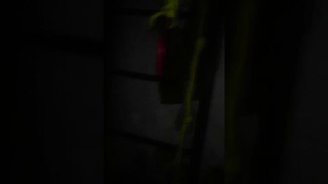 Вырубили свет смотреть онлайн