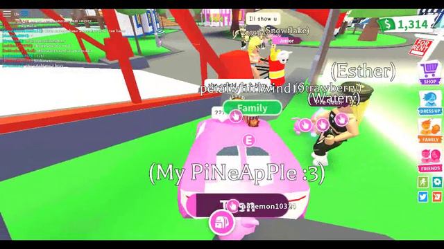 Adopt Me : Taking Care Of Two Pink Cats and One Baby смотреть онлайн