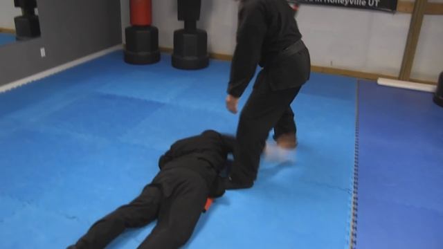 Kenpo Karate Techniques AKKI