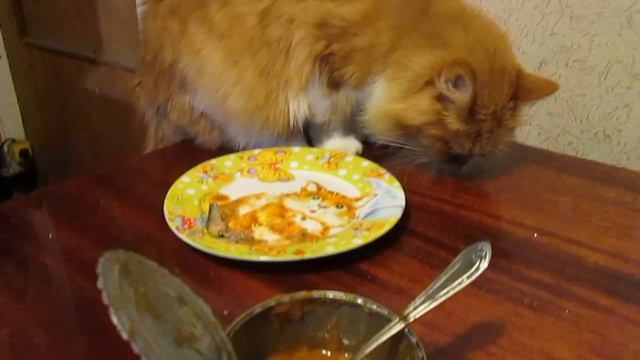 Землянка выживание! Харьков! Харьковская область! своими руками! реальные советы! help! котики! смотреть онлайн