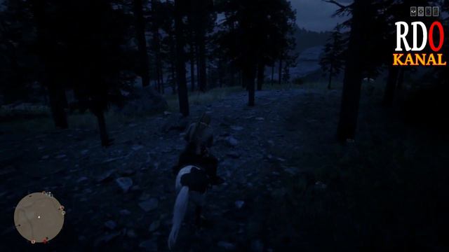 EASY Hinterhalt 12 X Ginseng Kopfschüsse 100 Tipps für RDO Red Dead Redemption 2 Online Deutsch смотреть онлайн