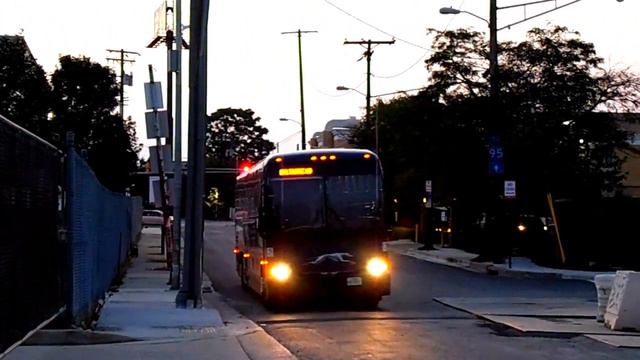 Greyhound Lines (USA): Bus Observations in Baltimore, Maryland... (August 13, 2014) смотреть онлайн
