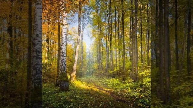 ,,Как грустный взгляд, люблю я осень"(Иван Тургенев). смотреть онлайн