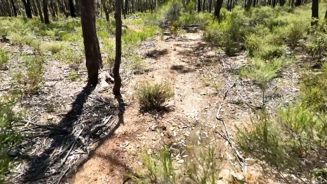 Finding a Fistful of Gold over a 5 Day Goldfields Adventure! смотреть онлайн