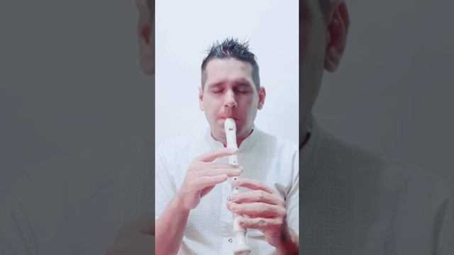 Alcaravan compañero flauta dulce смотреть онлайн