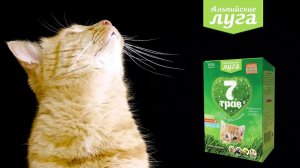 Альпийские луга «7 трав» для кошек