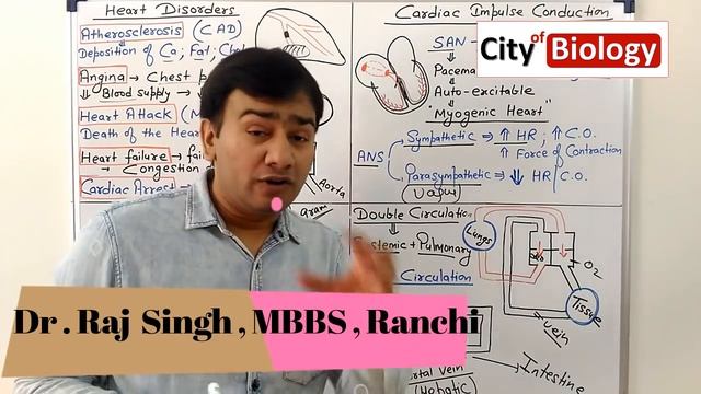Circulatory System Revision ( CRASH COURSE ) For NEET / AIIMS - 2018 ; NCERT BASED смотреть онлайн