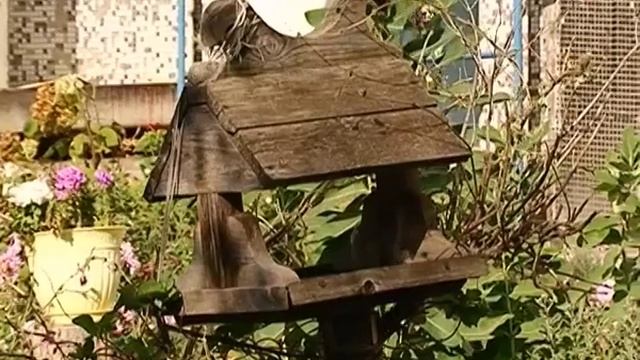 Самарские котельные готовы к отопительному сезону на 73% смотреть онлайн