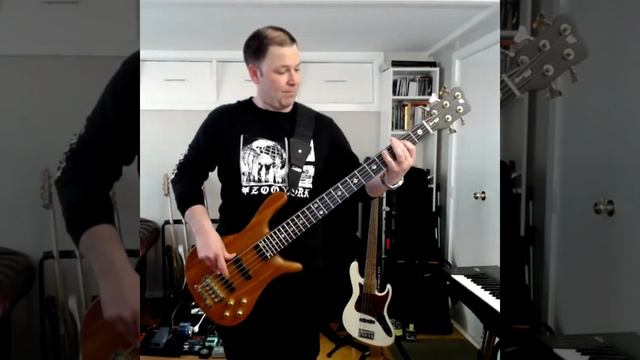 Nice To Know You by Incubus (bass cover, Warwick Streamer Stage II) смотреть онлайн