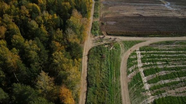 Motocross | FPV AUTUMN SESSION