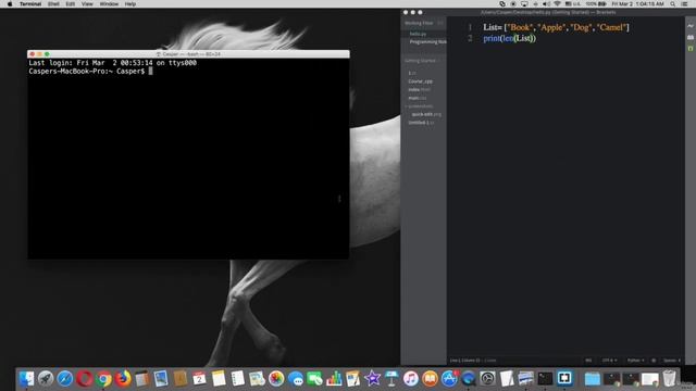 6 using len() method , python смотреть онлайн