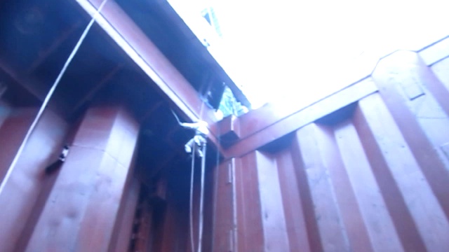 Промальп. Мурманск. Очистка трюмов